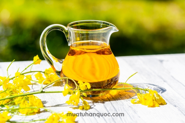 dầu hạt cải dầu hạt cải